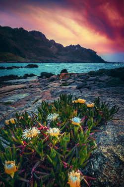 travelgurus:               Sunset on the coast of La Coruna, Spain by Manu Bermúdez               Travel Gurus - Follow for more Nature Photographies! 