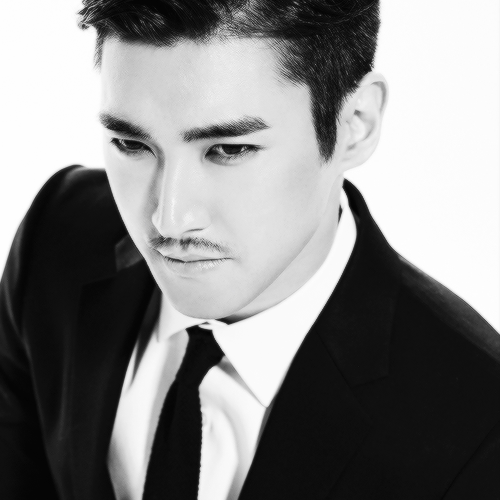 SJM Swing 