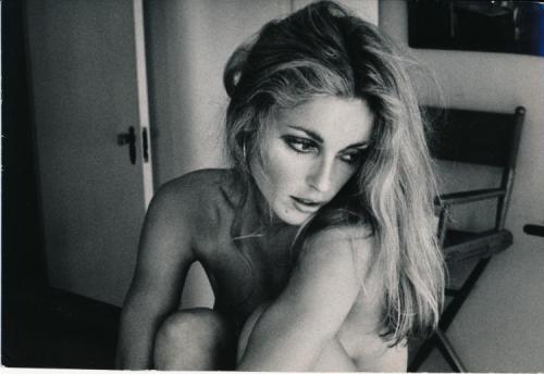 Porn photo foreversharontate:Sharon Tate photographed