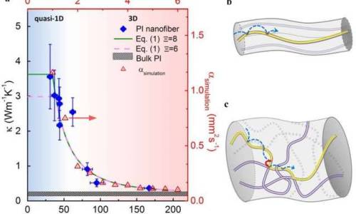 &lsquo;Random walk&rsquo; of heat carriers in amorphous polymersThe intrinsic structure of a