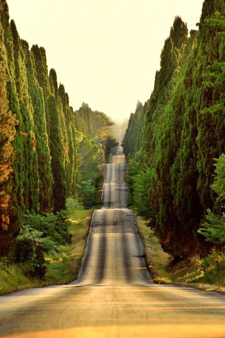 bonitavista:  Tuscany, Italyphoto via cajun