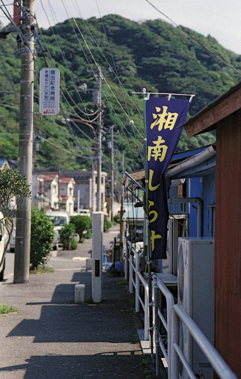 湘南しらす 暑い日だったので、買うのは断念しました…。　でも、美味しいんだろうなぁ絶対に…。(Z-1P + FA77mm + Centuria400 + 8800