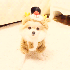 windfairies:  yulyulk: Happy Xmas* #옷입으면얼음하니?! 
