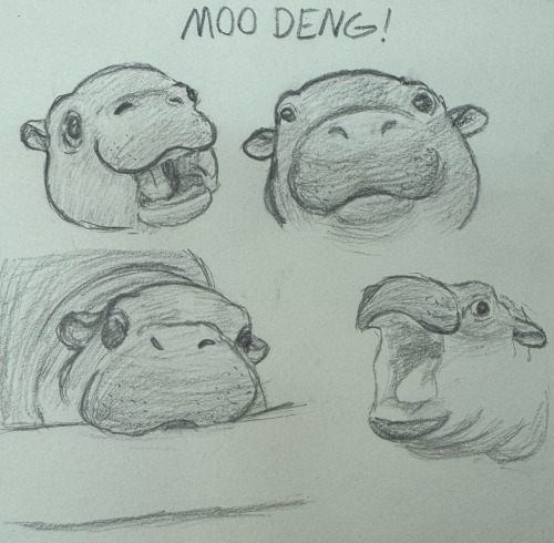 I Drew Moo Deng Instead Of Doing My Math Work