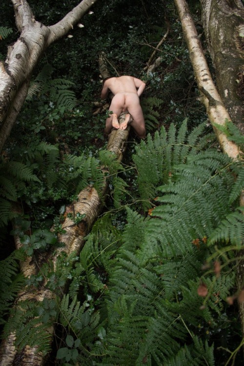 ultrawolvesunderthefullmoon:  Parva Scaena (Brief Scenes): Set Thirty“And a beautiful world we live in, when it is possible, and when many other such things are possible, and not only possible, but done– done, see you!– under that sky there, every