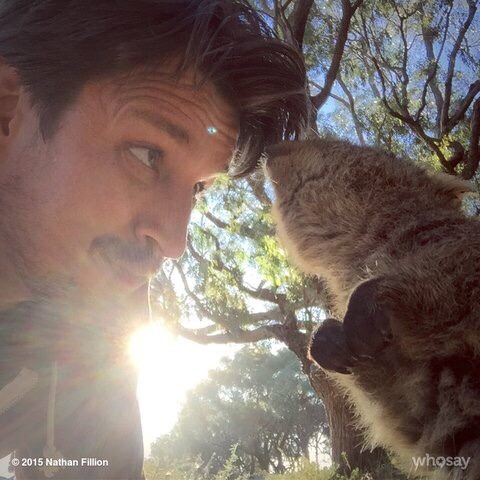 thebalibu:Nathan Fillion and animals. Absolutely cutePart 2