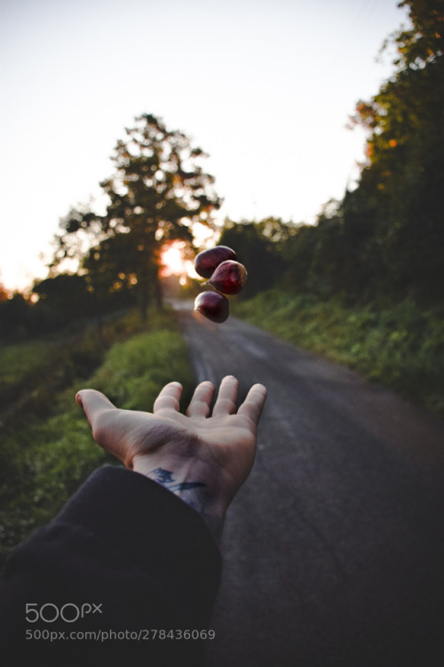 Autumn flavor by neuropape (nature)