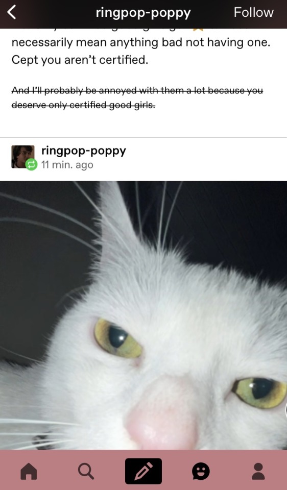 Tumblr media