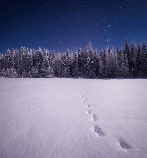 bobbycaputo:    Joni Niemelä | Night Sky   