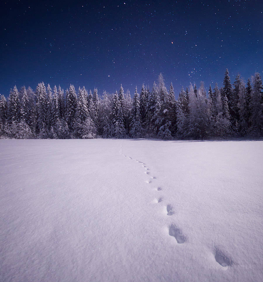 laatteenightthoughts:  archatlas:  Night Sky Joni Niemelä   Breathtaking 😍