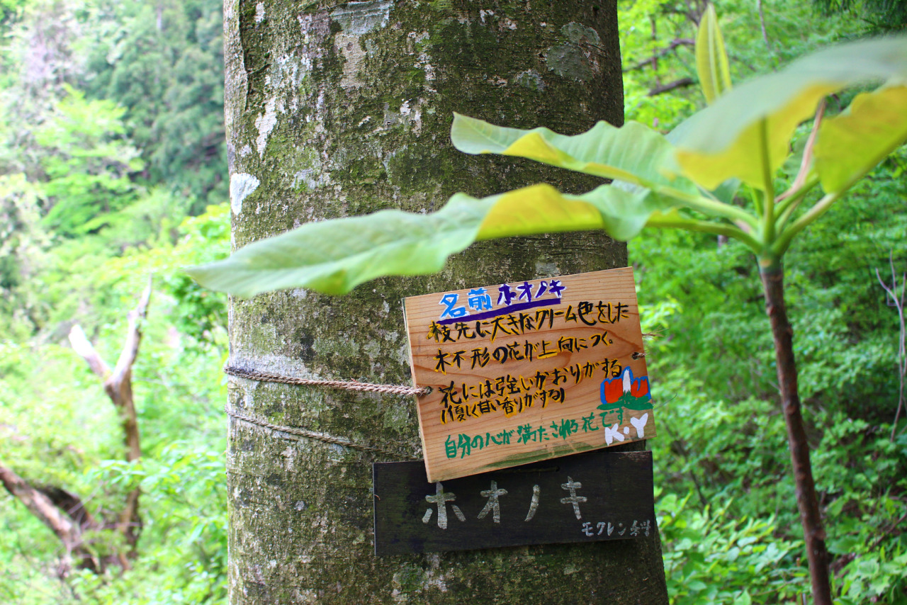 波多野義重tumblr Posts Tumbral Com 波多野義重tumblr Posts Tumbral Com