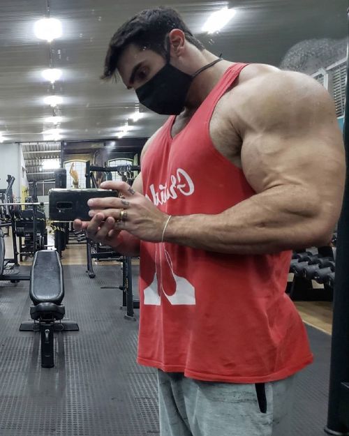 muscleryb:  Felipe Mattos  