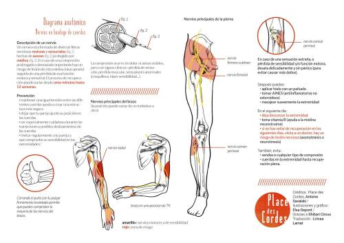 placedescordes:  A simple flyer about nerve damages’ education and prevention in rope bondage.