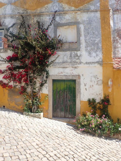 laurengancayco:A Splash of Gold, May 2015Photograph Taken At Óbidos, Portugal————————-Created By Lau