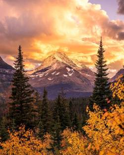 maureen2musings: Glacier National Park nateinthewild