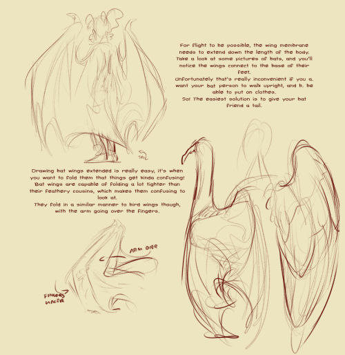 f-nodragonart:wolfyttwisted:helpfulharrie:This is a spiritual sequel to Thoughts on Wings by uzlo, w