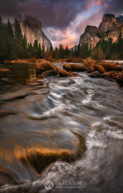 phototoartguy:  Stepping Stones by landESCAPEphotography | jeff lewis on Flickr ☛ http://flic.kr/p/qdEkDM