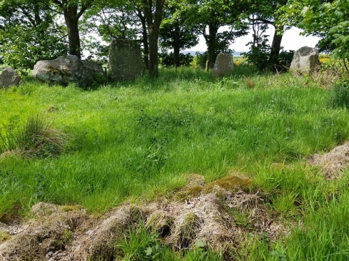 Berrybrae Recumbent Stone Circle, nr Fraserburgh,Scotland, 29.5.18. A beautifully located circle tha