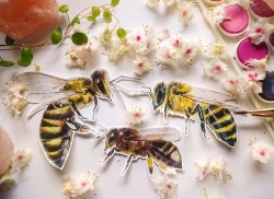 zaiguu-etsy:  Bee Stickers //   Zaiguu  