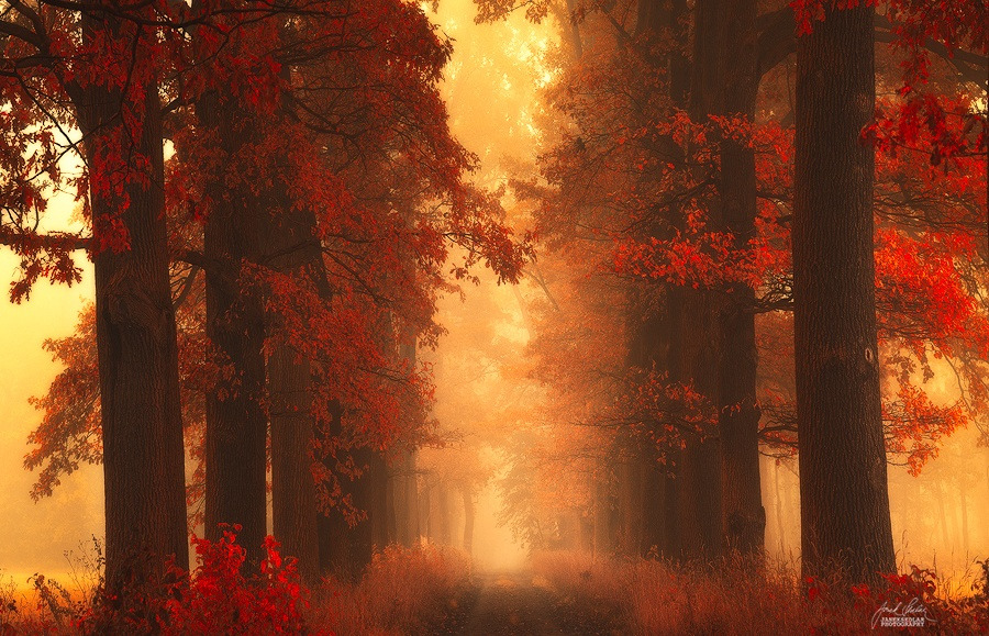 mrcloudphotography:  source | 1 | 2 | 3 | 4 | 5 | 6  | MY TUMBLR BLOG |  Let’s
