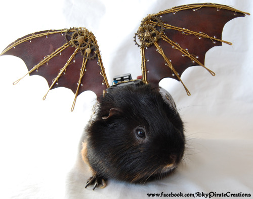 skypiratecreations:Ladies and Gentleman, i present you Pulguinha, the Steampunk Guinea Pig! He is th