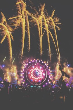 rosesraves:  EDC Orlando