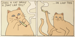 Me cat smokes like the second one but he’s usually not as smiley 