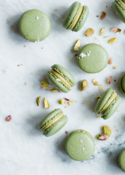 sweetoothgirl:    White Chocolate Pistachio