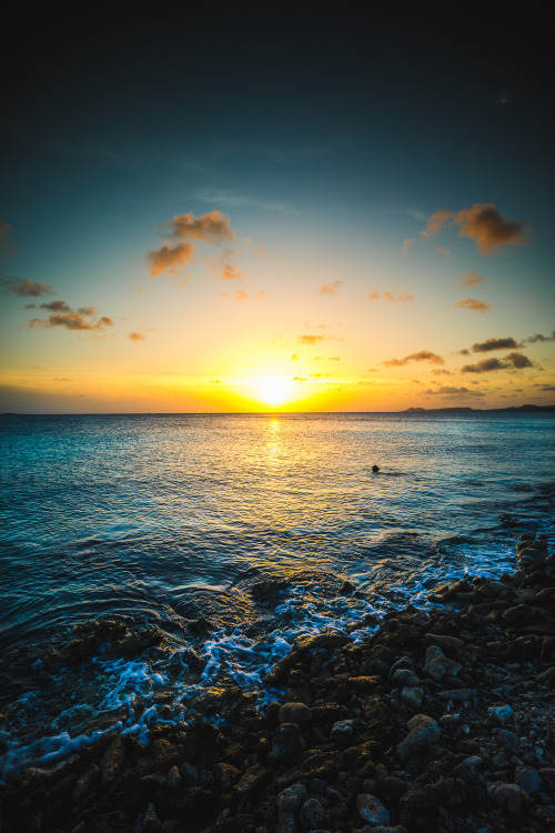 atroy9: Bonaire.www.andytroy.nlatroy9.tumblr.com