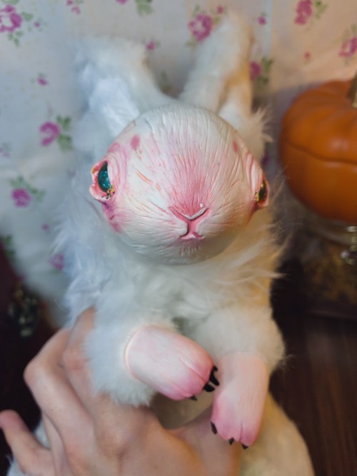 First doll ever made, wanted a sick bunny design and watched a lot of how to videos on doll making. 