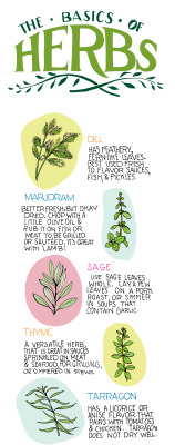 truebluemeandyou:  DIY Basic Illustrated Guide: How to Use Herbs from Illustrated Bites here. Go to the link for more illustrations on how to use and prepare herbs. Love this site. 