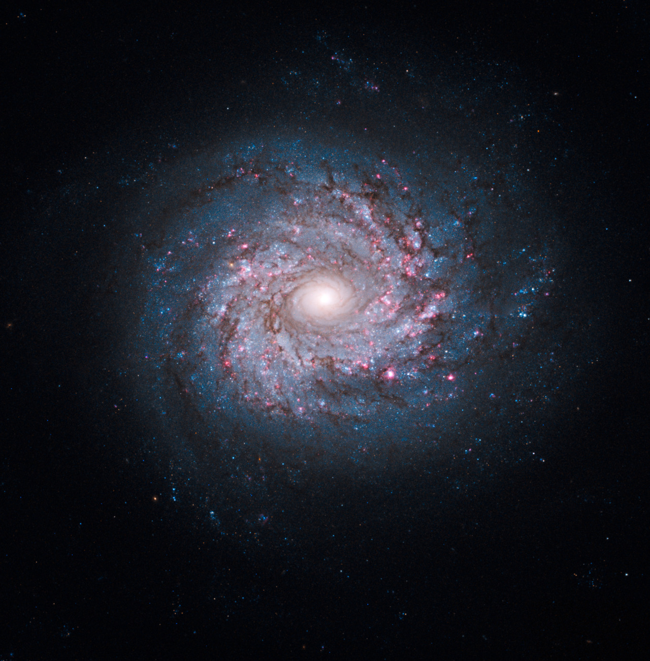 wonders-of-the-cosmos:  The arms of the Galaxy are coated with regions of formation
