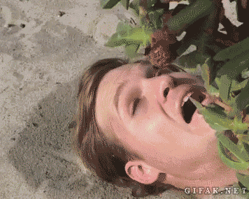 gif-guy:  Other Funny Gifs http://gif-guy.tumblr.com/ 