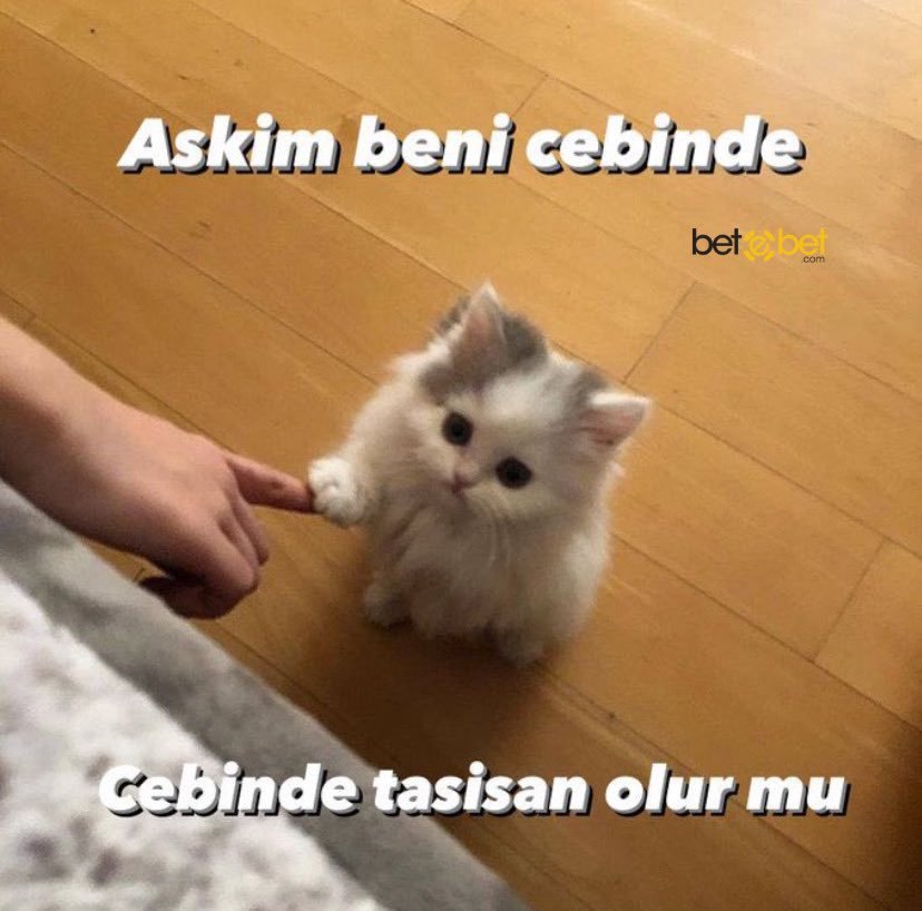 İlişkide ben     Askim...