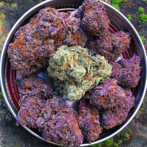 thebluntmovement: marihuana