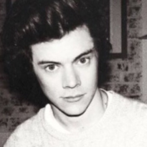 harry styles halloween layouts  • like or reblog if save. • don’t steal please, resp