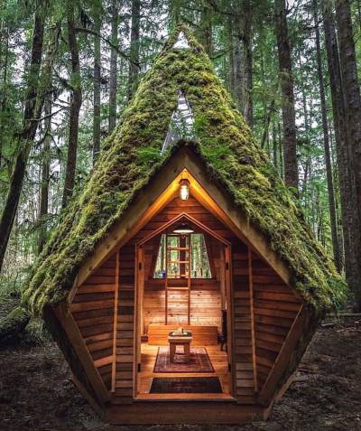 rebel-heart-gypsysoul: