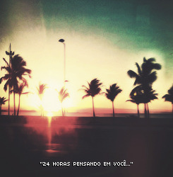 eu te amo.
