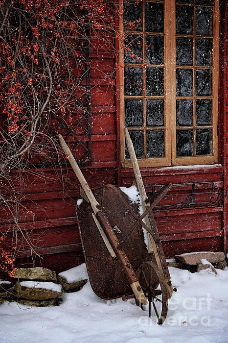 ensphere:  (via Farm and Barn) 