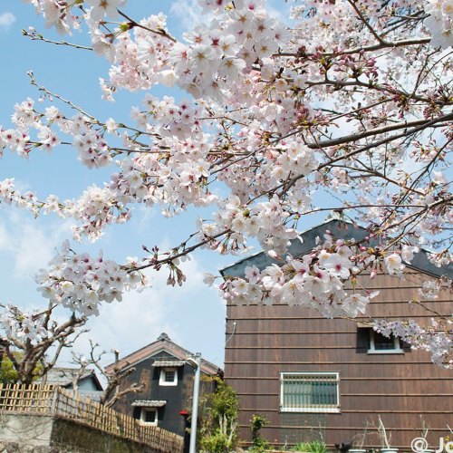 Kawaramachi Park leads into the Kawaramachi historic district from Gifu Park and is a large open spa