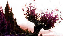 shoother:  harry potter + seasons 