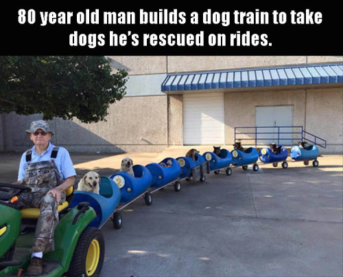 webofgoodnews:  Have some more of this faith in humanity stuff!