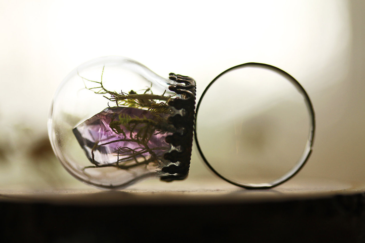 wordsnquotes:  culturenlifestyle: Romantic Crystal &amp; Terrarium  Encapsulated