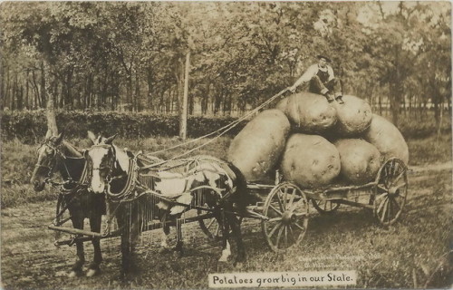 danskjavlarna:From c. 1908.  Courtesy of UpNorthMemories.700 favorite vintage postcards, mostly weir