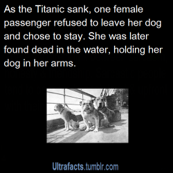 daydreamerofyesterday:  ultrafacts:  Her name: Ann Elizabeth Isham Source  Follow Ultrafacts for more facts   I want a Titanic movie about this, not some lame love story.   Look man I love pets.  I love my cat.   Choosing to die WITH your pet when you