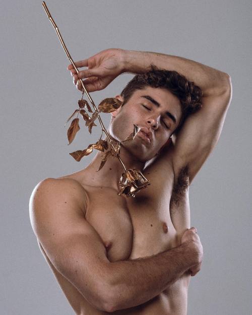 https://64.media.tumblr.com/1e80f5f872c72381104683ace6f004c6/b13d0d035d673619-57/s500x750/6ed8a69097f3763f3597e39043f70f11e55f5489.jpg