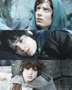 bronweathanharthad-moved:  Frodo Baggins meme → three emotions [2/3]      despair 
