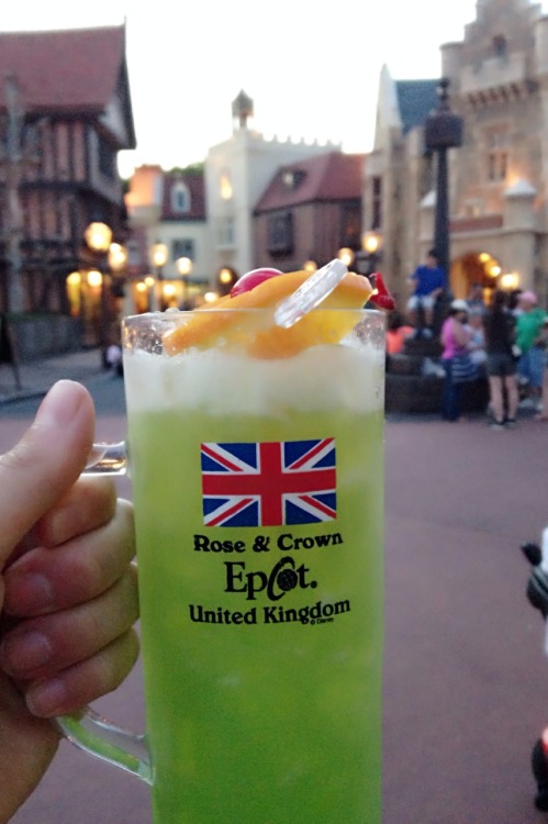 themouseketeer:  Went drinking around the world for the first time yesterday! So much fun! 