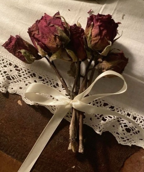 　、　⿻　✿ᴗ͈˳ᴗ͈　🥀　˚ 　✦