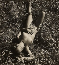 grandma-did:  Andre de Dienes 